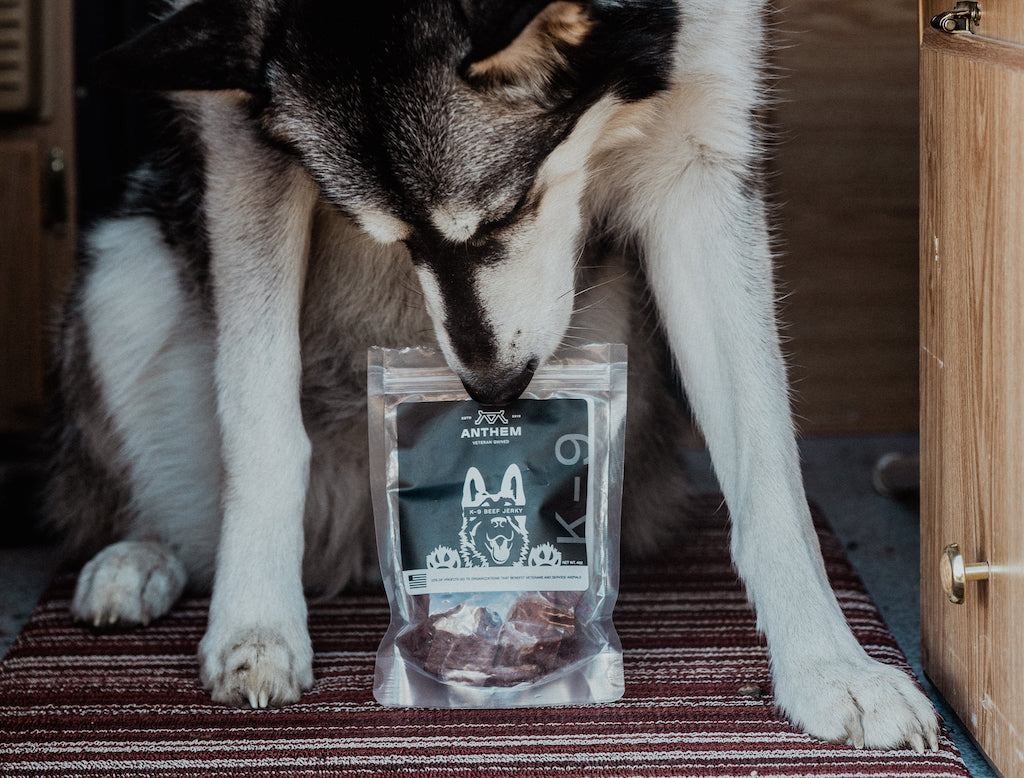 K-9 Beef Jerky