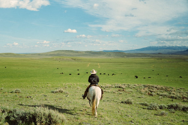 The Backbone of American Beef