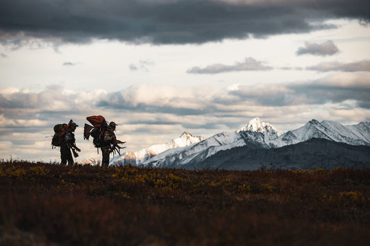 Montana Hunting