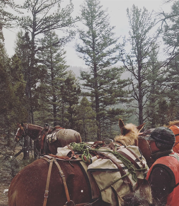 Montana Outfitting