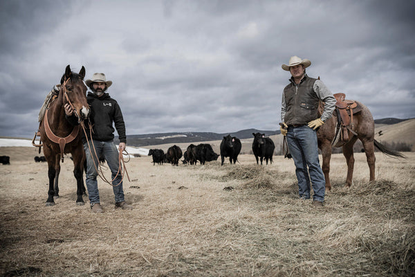 Little Belt Cattle Company