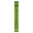 Dill Pickle Beef Stick